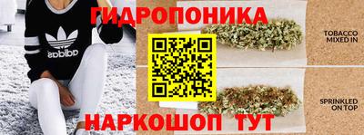 мяу мяу мука Будённовск