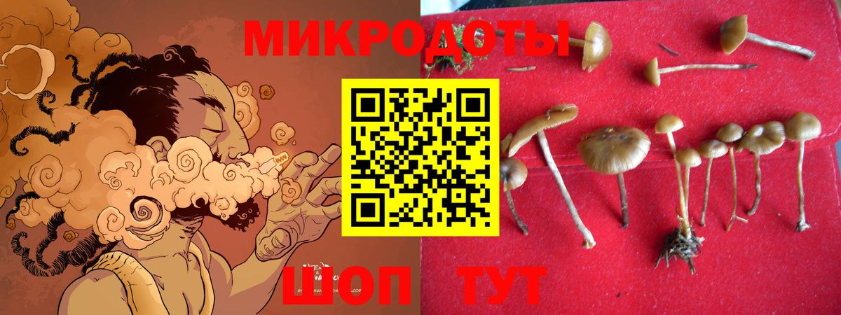 Курганинск  Псилоцибиновые грибы Psilocybe  Вход с VPN 
